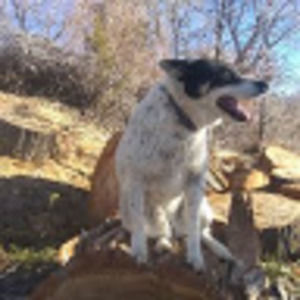 Meet your Posher, Mario